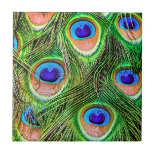 Azulejo De Cerâmica Penas de Peacock Shimmering