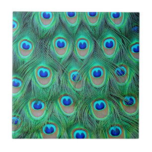Azulejo De Cerâmica Penas de Peacock Vibrantes