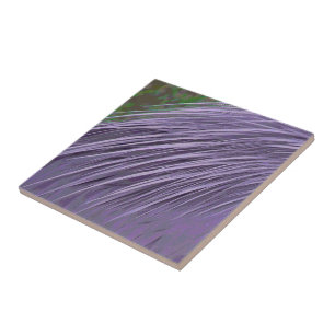 Azulejo De Cerâmica Penas do azul da lavanda