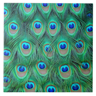 Azulejo De Cerâmica Penas do pavão