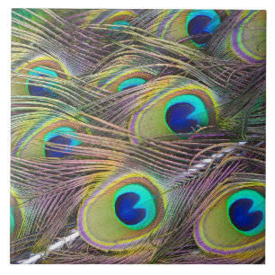Azulejo De Cerâmica Penas do pavão