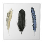 Azulejo De Cerâmica Penas Moles I<br><div class="desc">Aproveite esta nova design de aquarela criativa em um produto ou peça wallart para aprimorar e agregar ao mundo ao seu redor. Artista: Grace Popp</div>