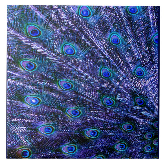 Azulejo De Cerâmica Penas Pêssegas Púrpuras (Frente)