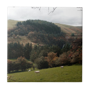 Azulejo De Cerâmica Pennant Valley Wales