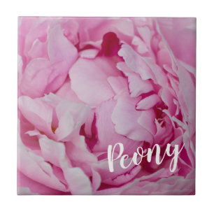 Azulejo De Cerâmica Peony Blossom Rosa para amantes de flores e jardin