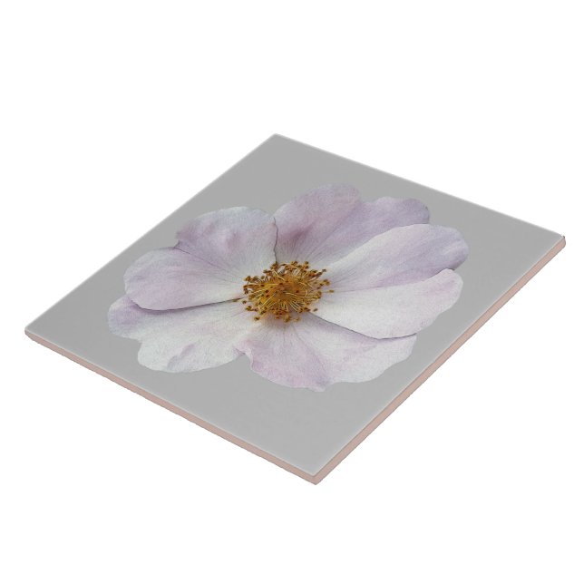 Azulejo De Cerâmica Pequena flor rosa (Lateral)