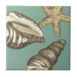 Azulejo De Cerâmica Pequena Shell Trio no Teal<br><div class="desc">Megan Meagher é conhecida por suas simples peças de arte. Essa imagem captura a simplicidade do tesouro da costa,  de conchas e de estrelas-do-mar. Meagher engloba um fundo teal em sua imagem para contrastar esses tesouros. Obtenha este impressão de arte hoje no seu produto Zazzle hoje mesmo.</div>