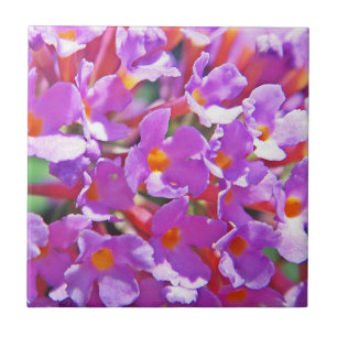 Azulejo De Cerâmica Pequenas flores roxas e bonitas