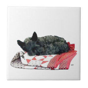 Azulejo De Cerâmica Pequeno Cachorro Scottie Adormecido