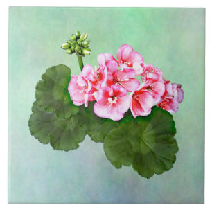 Azulejo De Cerâmica Pequeno Gerânio Rosa