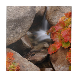 Azulejo De Cerâmica Pequeno riacho no outono, Califórnia