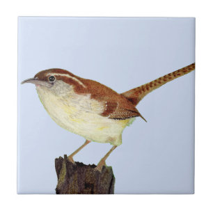 Azulejo De Cerâmica Pequeno Wren