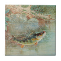 Perca Amarela por S.A. Kilbourne, Peixe Vintage