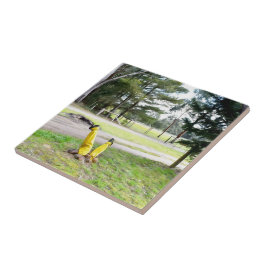 Azulejo De Cerâmica Perdido no Jardim de novo