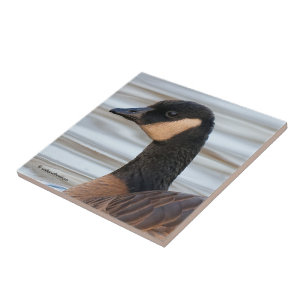 Azulejo De Cerâmica Perfil de um ganso de estalagem