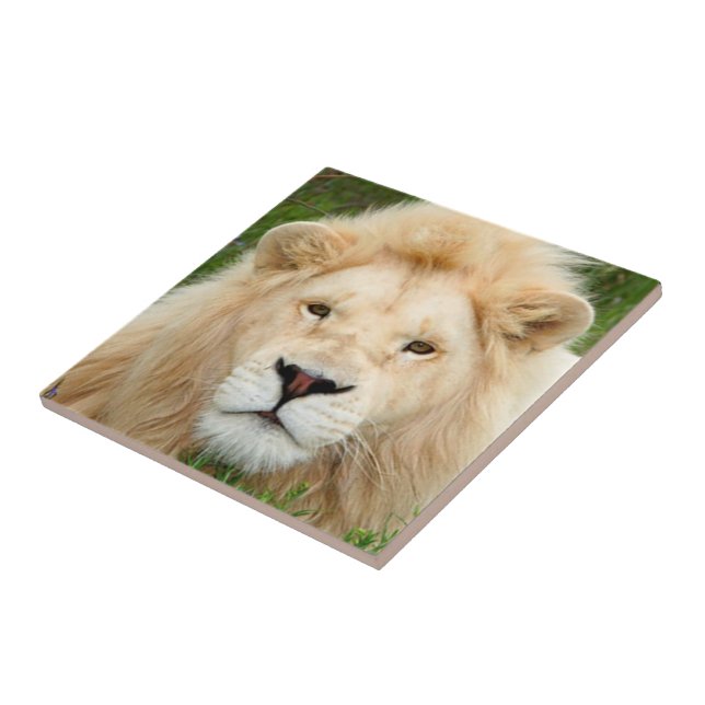 Azulejo De Cerâmica Pérola loura (Lateral)