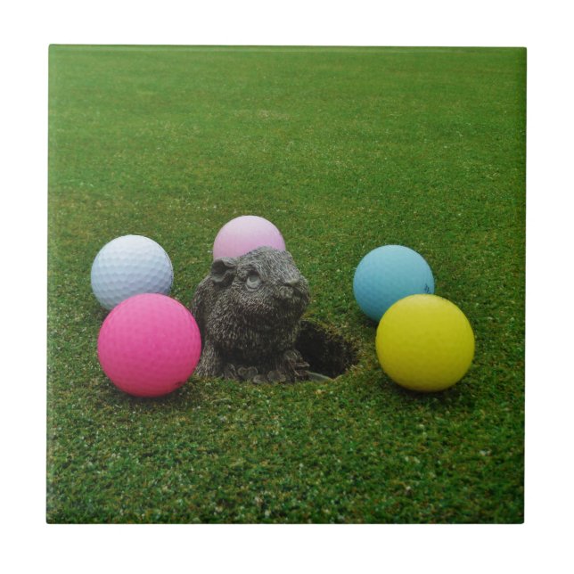 Azulejo De Cerâmica Personalizar produto (Frente)