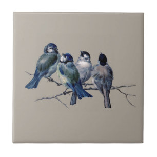 Azulejo De Cerâmica Personalize adoráveis aves azuis da arte safena n