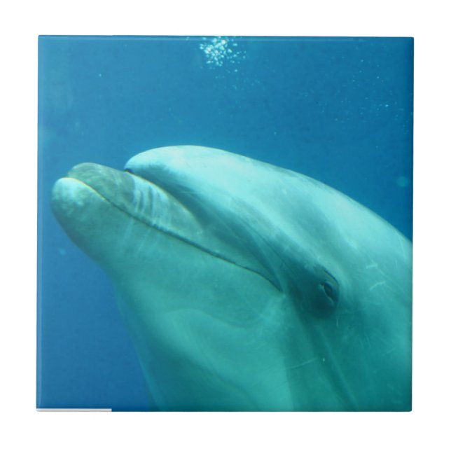 Azulejo De Cerâmica Personalize o produto (Frente)