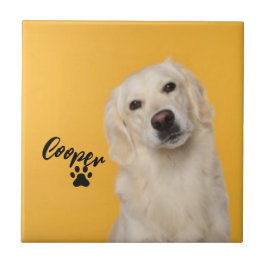 Azulejo De Cerâmica Personalized Pet Photo Dog Lover with Photo