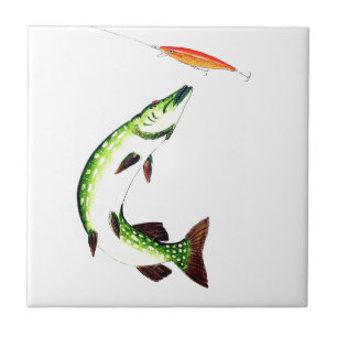 Azulejo De Cerâmica Pesca e pesca com mosca de Pike