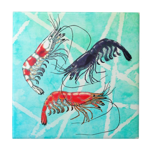 Azulejo De Cerâmica Pet Shrimp Hobby Cherry Blue Crystal Turquoise (Frente)