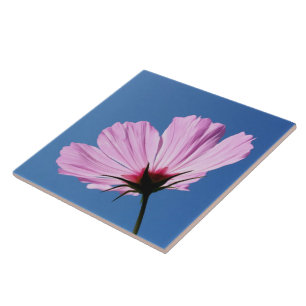 Azulejo De Cerâmica Pétalas cor-de-rosa
