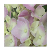 Pétalas de Hydrangea, Cor-de-Rosa, Branca Antiquad