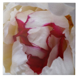 Azulejo De Cerâmica pétalas de pénia