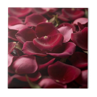 Azulejo De Cerâmica Pétalas de Rosa Vermelho Intenso Azulejo Cerâmico 