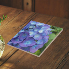Azulejo De Cerâmica Pétalas Florais de Hortênsia Azul