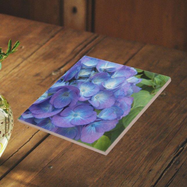 Azulejo De Cerâmica Pétalas Florais de Hortênsia Azul (In Situ)