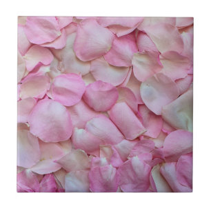 Azulejo De Cerâmica Pétalas Rosa Rosa Rosa Rosa Rosa Rosa Rosa Rosa Ro