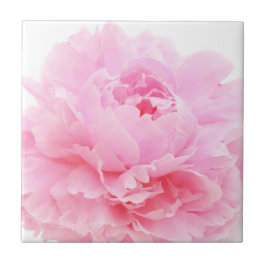 Azulejo De Cerâmica pétalas rosas
