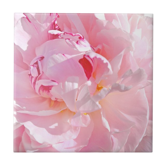 Azulejo De Cerâmica pétalas rosas (Frente)