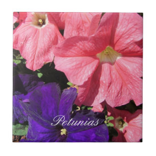 Azulejo De Cerâmica Petúnias Rosa e Roxo
