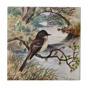 Azulejo De Cerâmica Phoebe e ponte de pedra sobre a angra