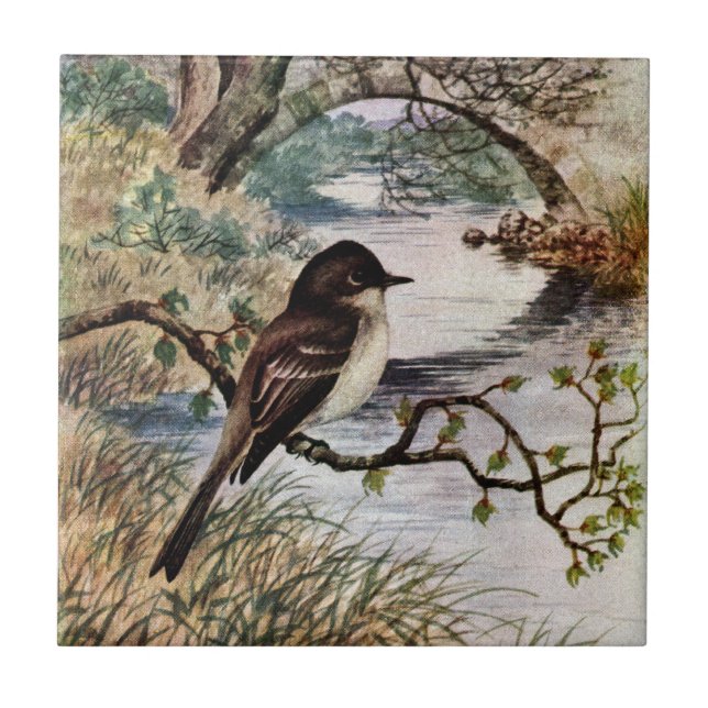 Azulejo De Cerâmica Phoebe e ponte de pedra sobre a angra (Frente)