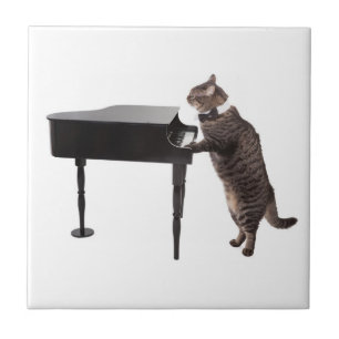 Azulejo De Cerâmica Piano de Reprodução de Gato
