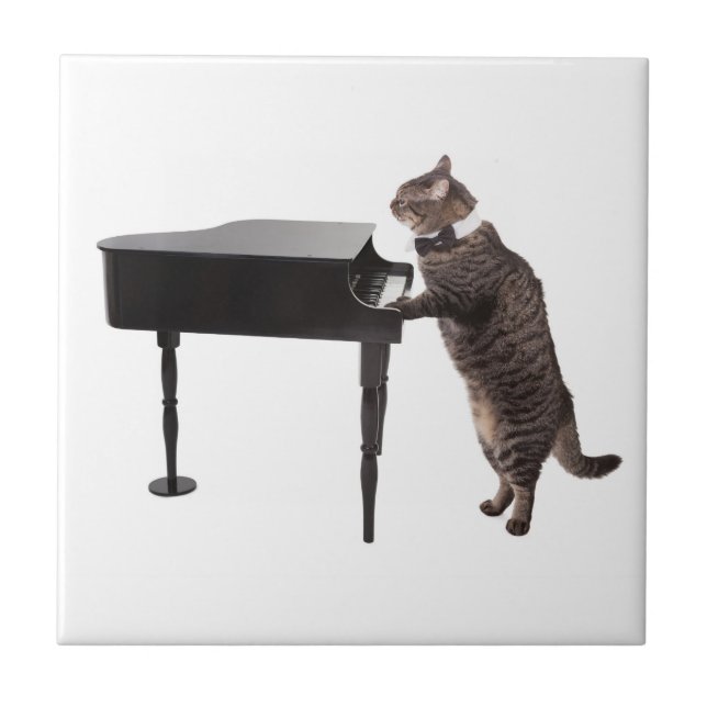 Azulejo De Cerâmica Piano de Reprodução de Gato (Frente)
