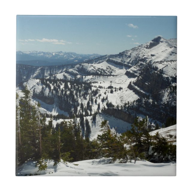 Azulejo De Cerâmica Picos de neve da Grande Montanha Teton II Foto (Frente)