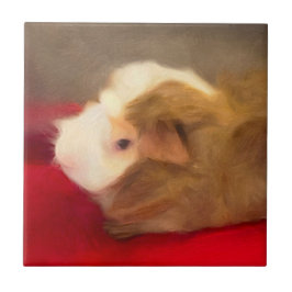 Azulejo De Cerâmica Pig. de Cabelo Longo