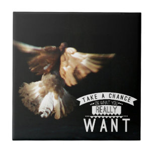 Azulejo De Cerâmica Pigeon Tome Uma Oportunidade