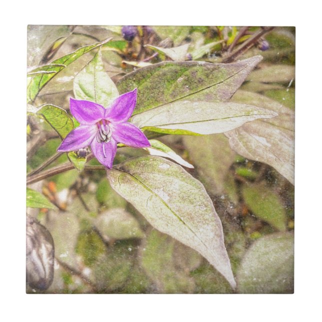 Azulejo De Cerâmica Pimentos ornamentais (Frente)