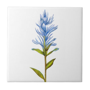 Azulejo De Cerâmica Pincel indiano de azul