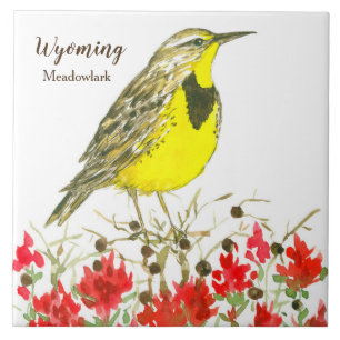 Azulejo De Cerâmica Pincel indiano Meadowlark Wyoming Souvenir