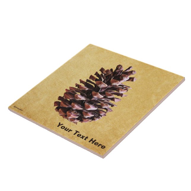 Azulejo De Cerâmica Pine Cone Em Papel Vintage (Lateral)