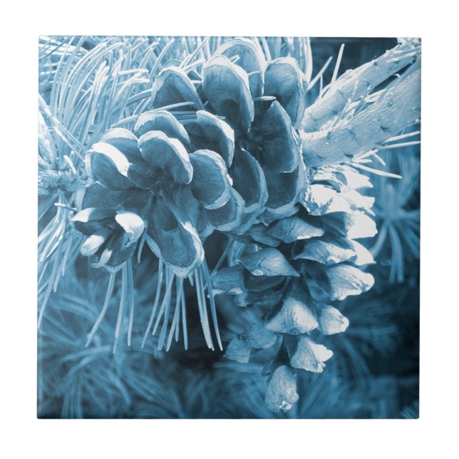 Azulejo De Cerâmica Pinecone azul-do-natal primitivo (Frente)