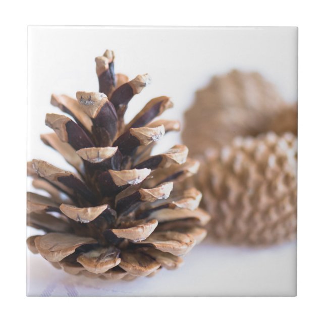 Azulejo De Cerâmica Pinecones (Frente)