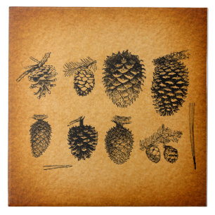 Azulejo De Cerâmica Pineges Rústicos Pine Cone Trabalho de arte